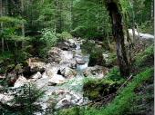 Vor der Klamm schlängelt sich der Bach durch eine märchenhafte Landschaft in deren Ruhe und Abgeschiedenheit sich angenehm Wandern lässt. 