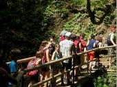 Die Wanderung zum Lainbach-Wasserfall war anstrengend - auch wenn der überwiegende Teil im Schatten zu bewältigen war. Die Sonne heizte schon am Vormittag ordentlich ein.  