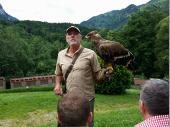 Hier der Falkner mit einem jungen Adler.