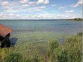 Die Spaziergänger genossen das Plätschern des Sees und das bezaubernde Chiemsee-Ufer. 