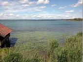 Die Spazierg&auml;nger genossen das Pl&auml;tschern des Sees und das bezaubernde Chiemsee-Ufer. 