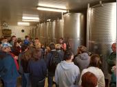 Viele Hektar Äpfel und Birnen sind nötig, um diese Tanks mit Saft zu füllen. Daraus wird dann Most oder Cidre hergestellt, wobei ein großer Teil gleich als Saft abgefüllt und verkauft wird. http://www.obergut.at/ 