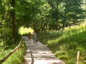 Eine Wanderung am See entlang ist wunderschön und entspannend. In ca. 45 Minuten kann man den See umrunden. 
