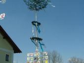 Der Jugend-Maibaum mit den Tafeln der Kinder. 