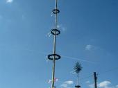 Der neue Maibaum in seiner vollen Pracht. Er ist einige Meter h&ouml;her als letztes Jahr und wurde von Thomas Luber gestiftet.&nbsp;
