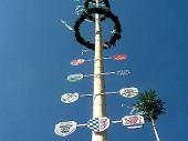 Mit seinen sch&ouml;n bemalten Taferln wird uns der Maibaum wieder ein Jahr in Steinbach begleiten.&nbsp;