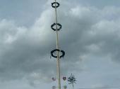 Der neue Maibaum in seiner vollen Pracht.&nbsp;