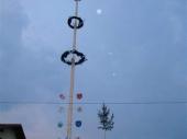 Der Maibaum und der Kinder-Maibaum schm&uuml;cken nun wieder ein Jahr das Ortsbild von Steinbach.