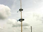 Der Jugend-Maibaum stand als erster. Hier hat sich unser Nachwuchs lobenswert hervorgetan.&nbsp;&nbsp; 
