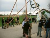 Jung und Alt halfen zusammen,  dass der Maibaum sicher in die H&ouml;he kam.&nbsp;