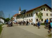 Ganz traditionell und mit jahrelanger Erfahrung wird der Baum Stück für Stück in die Höhe gehievt. 