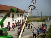 24 Meter frisches Holz lassen sich schon drücken. Vielen Dank an den Hoida, der ihn gestiftet hat.  