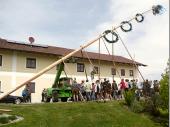 W&auml;hrend dessen kam der Baum immer h&ouml;her. Vorsichtig aber bestimmt wurde hier gearbeitet. St&uuml;ck f&uuml;r St&uuml;ck wurde angehoben. 
