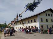 Stück für Stück wuchs der Baum in den Himmel und Christoph gab die Kommandos und sorgte für die Sicherheit beim Aufstellen. 