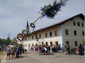 St&uuml;ck f&uuml;r St&uuml;ck wuchs der Baum in den Himmel und Christoph gab die Kommandos und sorgte f&uuml;r die Sicherheit beim Aufstellen. 