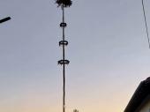 Einige G&auml;ste blieben bis zur D&auml;mmerung in Steinbach. Ein sch&ouml;ner Tag geht nun leider zu Ende. 